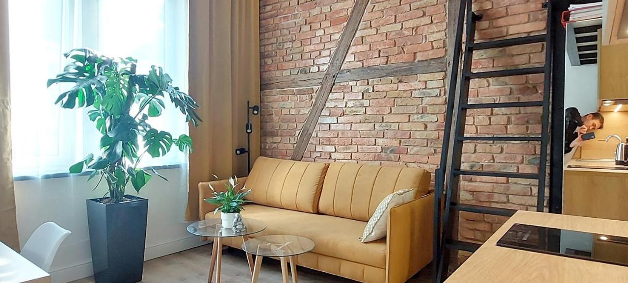 Mickiewicza 24 Apartment Poznan